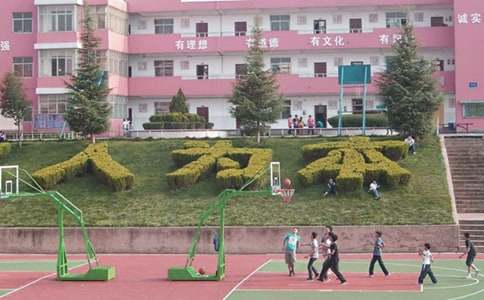 筆尖流出的故事開滿丁香花的校園作文（精選15篇）