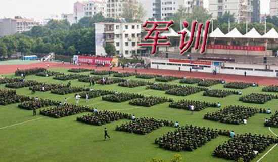 教官的軍訓心得15篇
