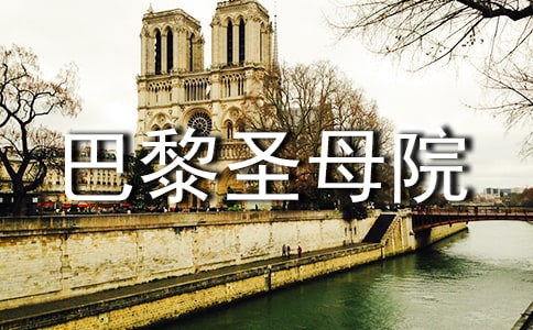 巴黎圣母院讀后感（薦）