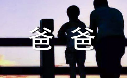 給爸爸的一封信作文范例(5篇)