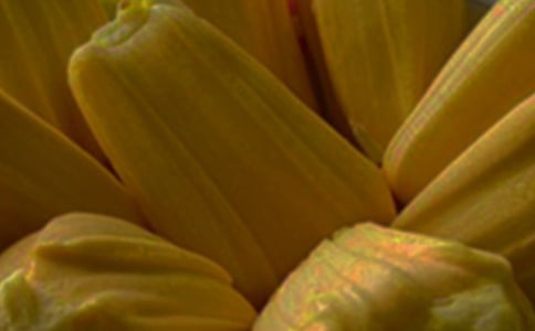 菠蘿蜜不能和什么一起吃