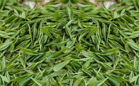 采茶葉的作文