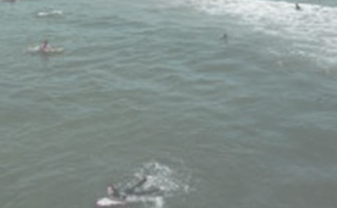 沙灘沖浪作文