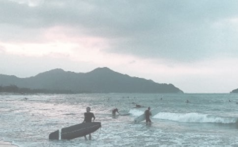 網(wǎng)上沖浪作文