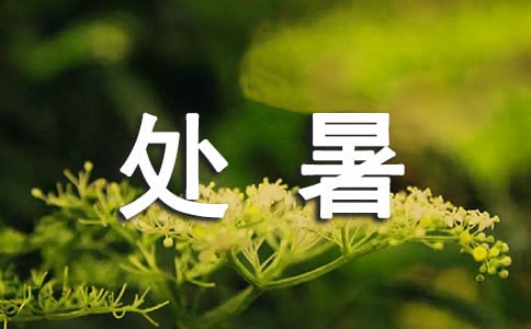 處暑節(jié)氣詩句[精華9篇]