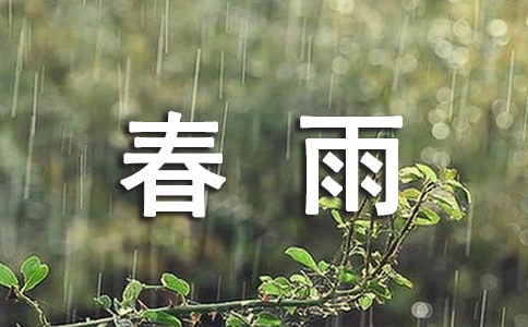 春雨的作文15篇[精華]