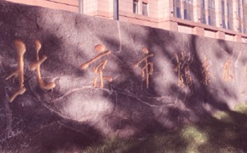 檔案館的工作計劃范文