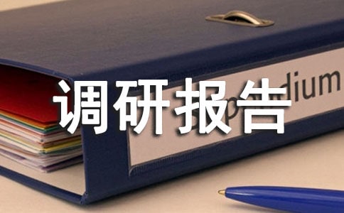 關于農村區域發展的調研報告