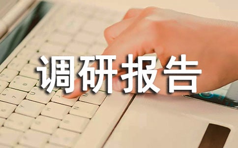 寒假社會調研報告范文