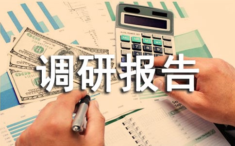基層團組織情況調(diào)研報告