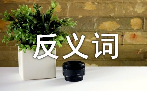 詫異的近義詞及反義詞是什么_詞語(yǔ)釋義及造句