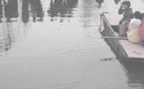 書海泛舟作文