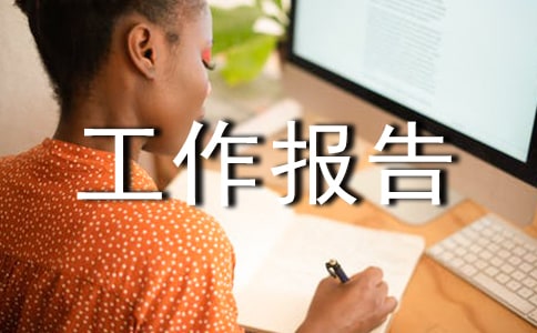 專業(yè)技術(shù)工作報(bào)告（精選6篇）