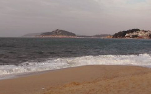 鼓浪嶼作文