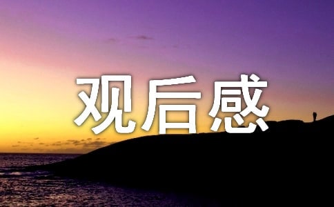 《馴龍高手》觀后感