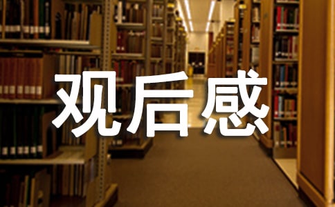 為自己工作觀后感