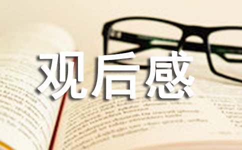 安全事故觀后感（精選3篇）