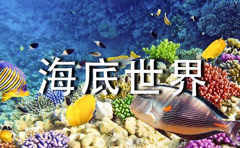 《海底世界》反思