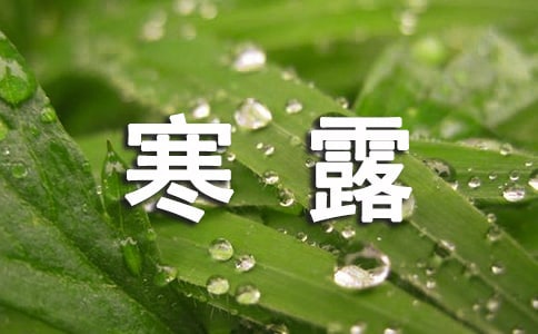 (必備)寒露養(yǎng)生吃什么