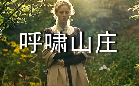 《呼嘯山莊》讀后感匯編(14篇)