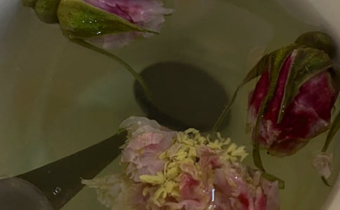 桂花茶的功效與作用是什么