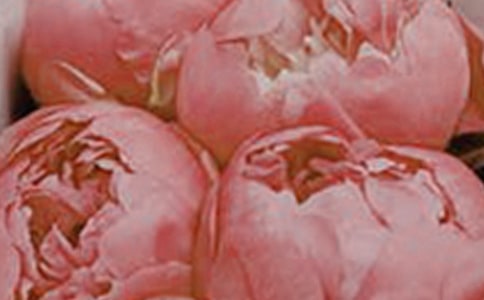 （經(jīng)典）綻放的花朵作文15篇