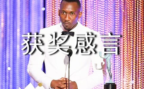 優秀團隊獲獎感言精選