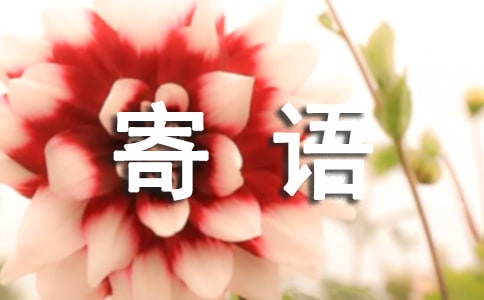豬年寄語(yǔ)