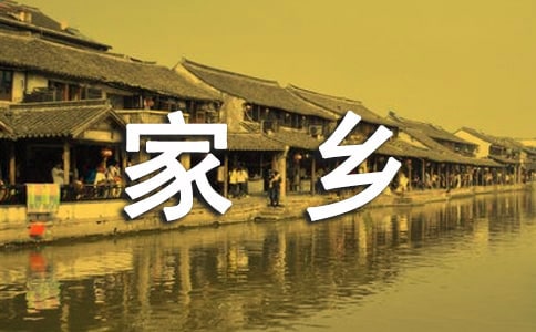 (實用)二十年后的家鄉優秀作文開頭結尾