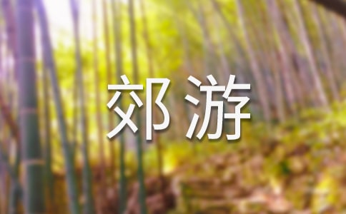 郊游看圖寫話