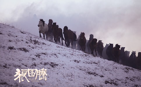 狼圖騰讀后