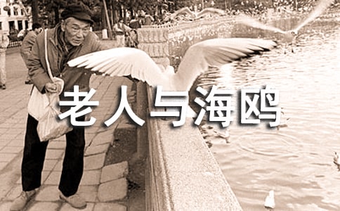 《老人與海鷗》讀后感
