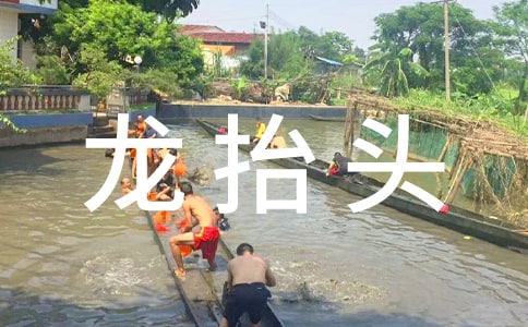 二月二龍抬頭節日及習俗