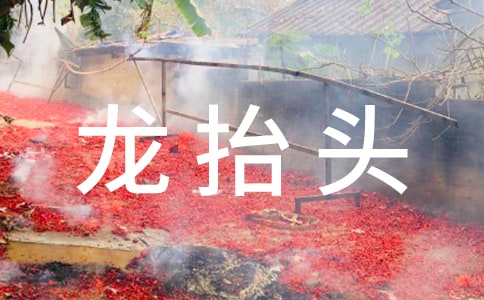 二月二，龍?zhí)ь^了作文