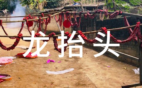 龍?zhí)ь^的作文