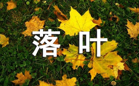 落葉高中作文