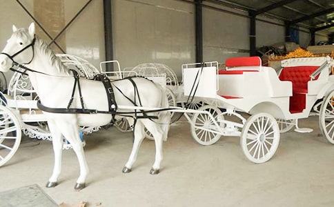 《時(shí)間像小馬車》的教學(xué)設(shè)計(jì)