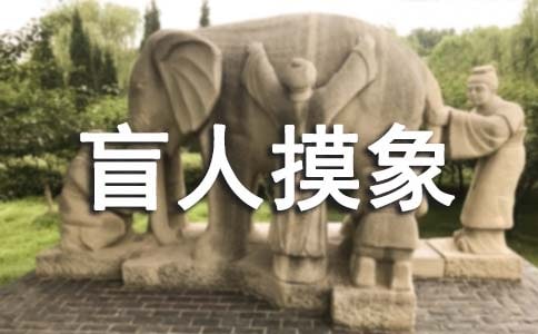 盲人摸象作文10篇（優秀）