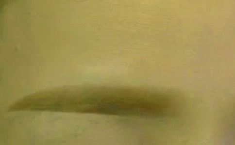 （經(jīng)典）刮眉毛作文