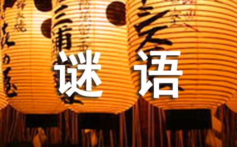 猜字謎語(yǔ)大全及答案