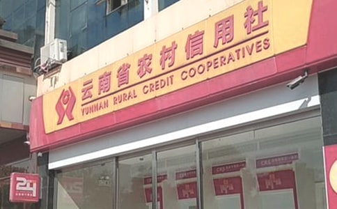 農村信用社實習報告