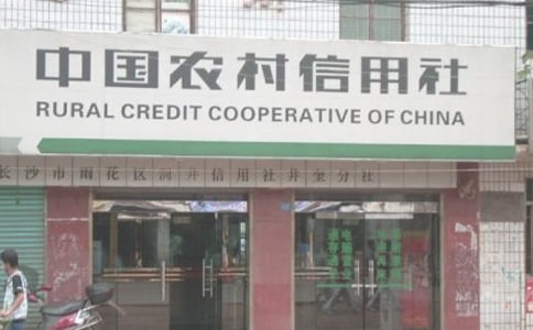 關于農村信用社的實習報告