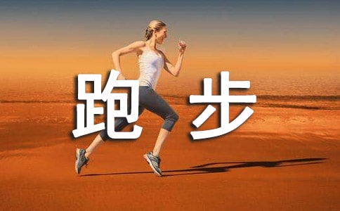 哈威那犬跑步速度如何