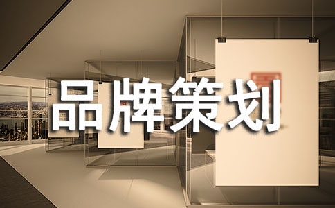 品牌策劃(優秀)
