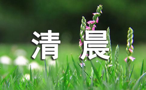 夏日清晨美句（精選50句）