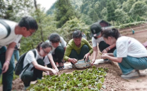 三下鄉個人