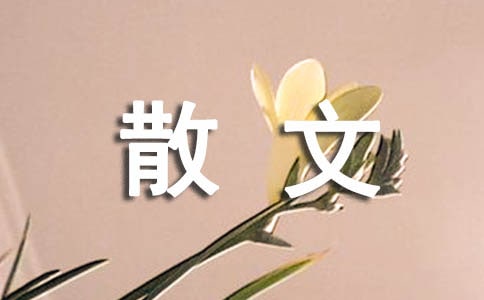 那些年散文