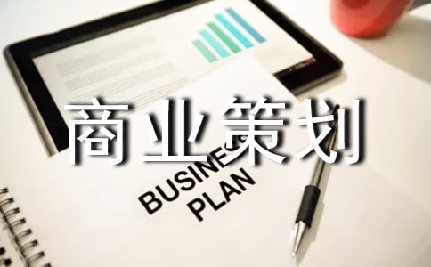 實用的商業策劃