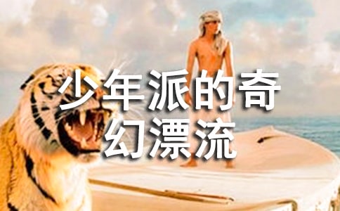 《少年派的奇幻漂流》觀后感（精選15篇）