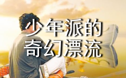 少年派的奇幻漂流觀后感精選15篇